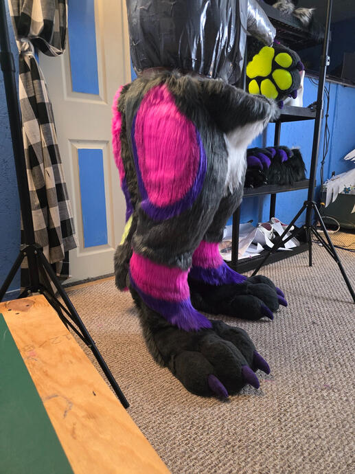 🔹 Nyx - Legs And Feet Paws - (Side Display)