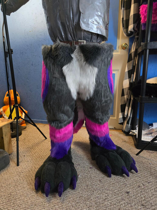 πΉ Nyx - Legs And Feet Paws - (Front Display)